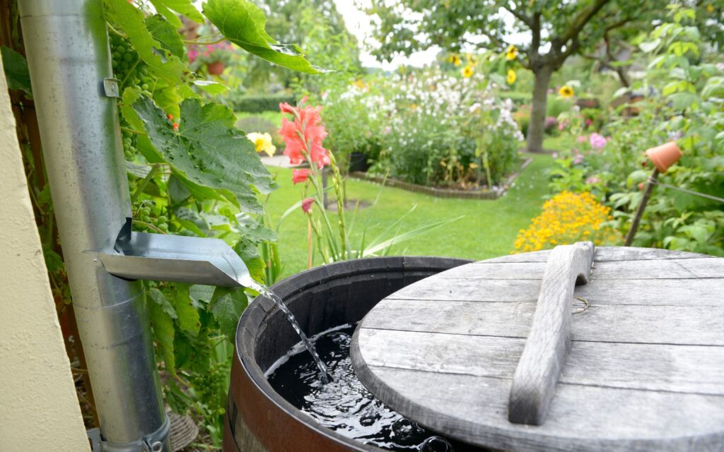 How Rain Harvesting Systems Can Save You Money and Help the Environment